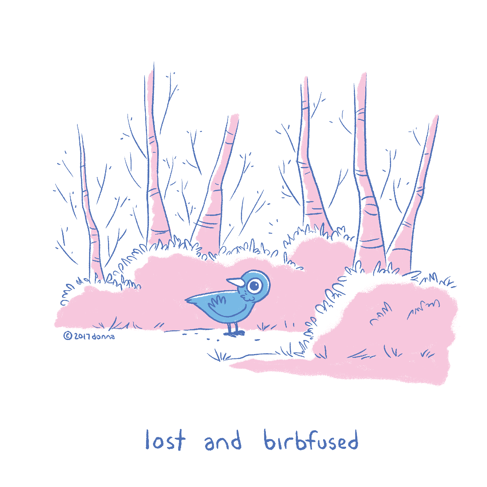 lost and birbfused